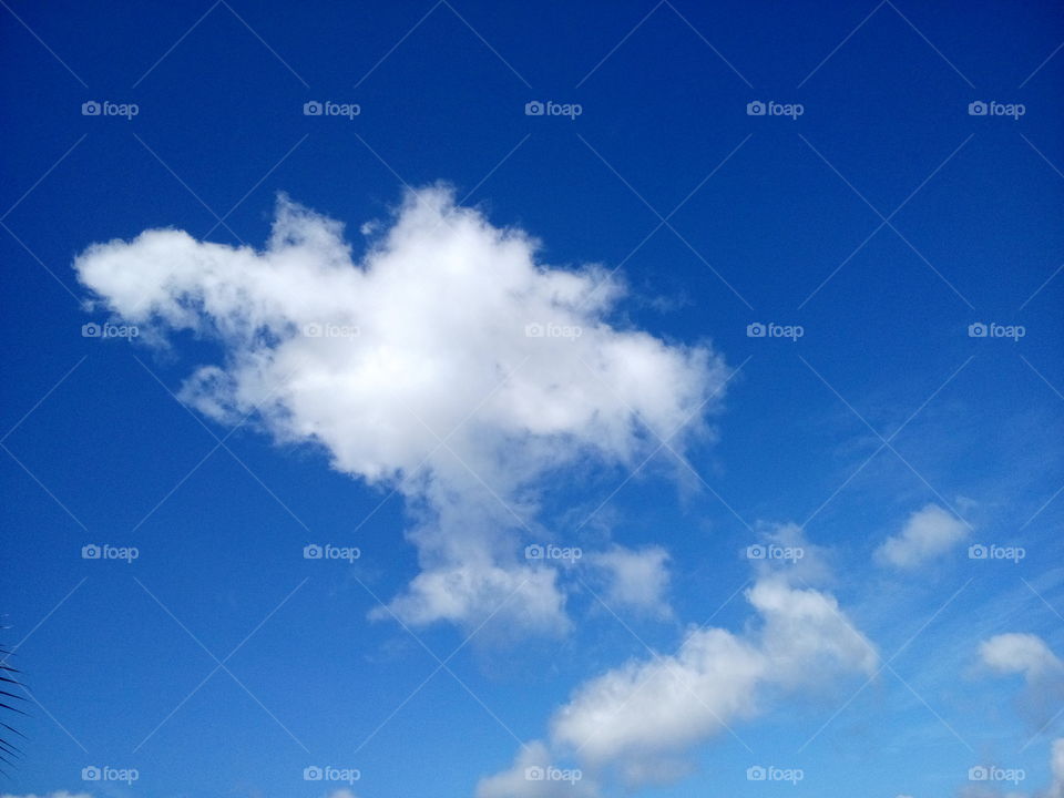 sky. cloud