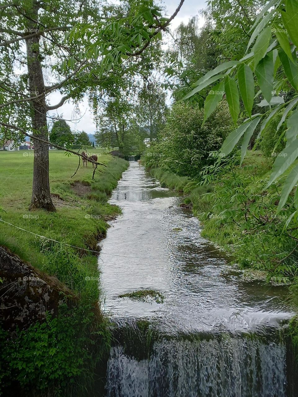 Stream in Bavarian Countryside