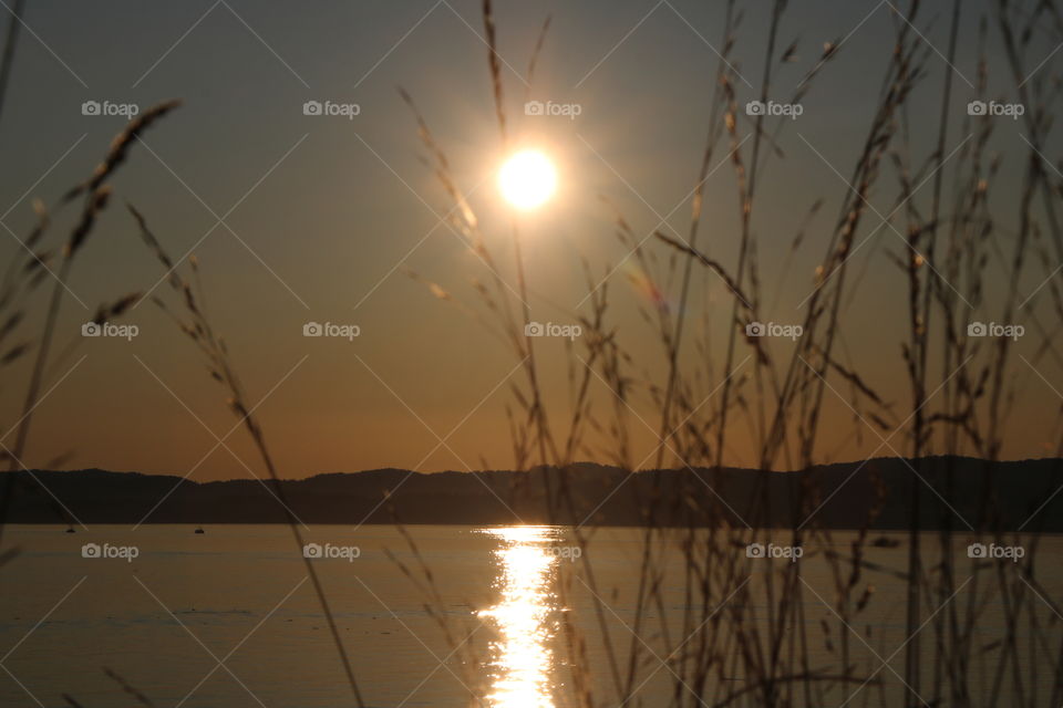 Dry golden grass sparkling on an amazing autumnal sunset