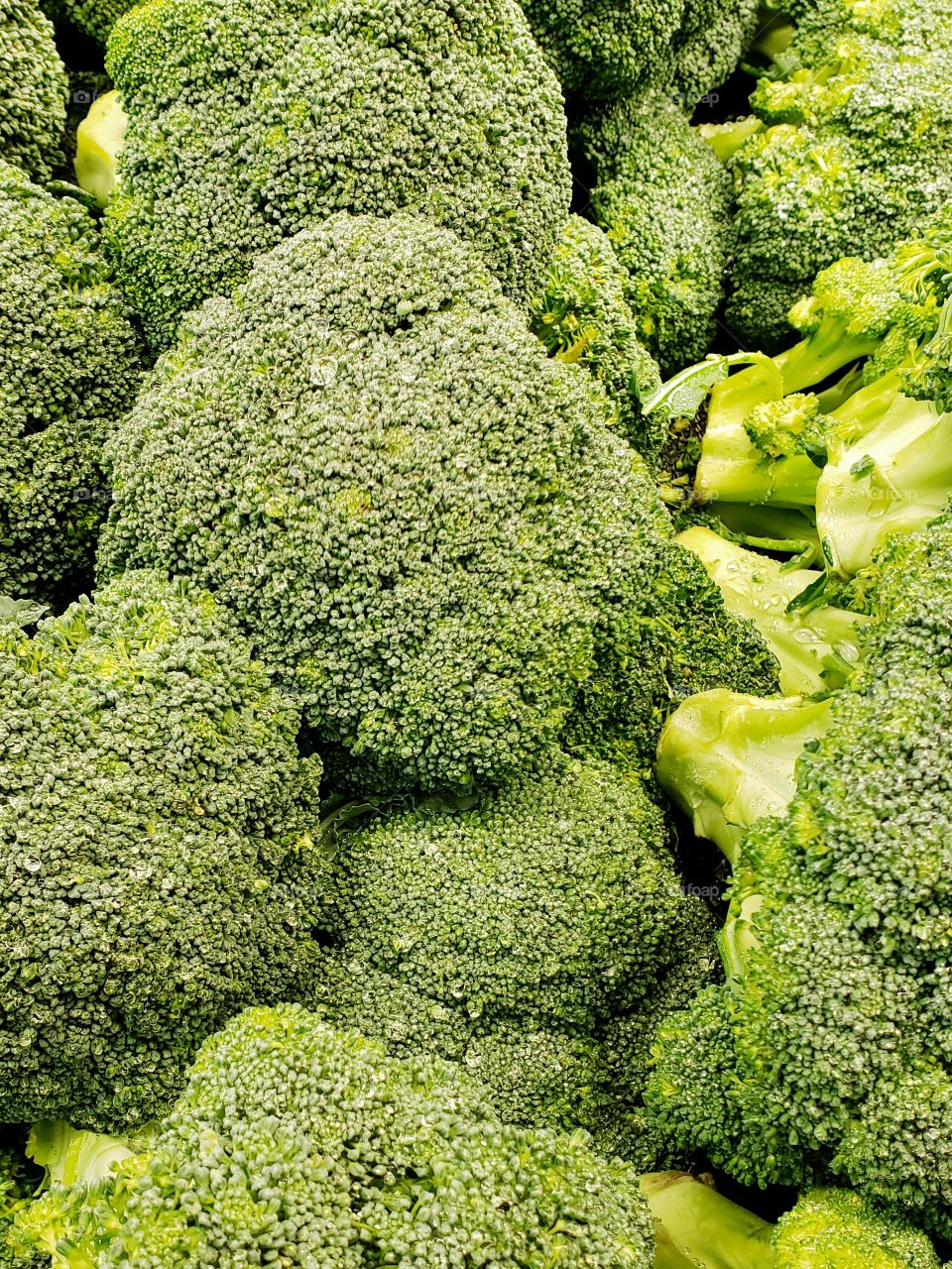 Closeup of details and texture of heads of green broccoli at the local market