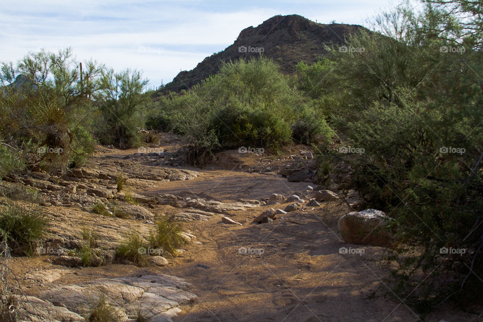 no water in the creek. desert landscape with a dry creek