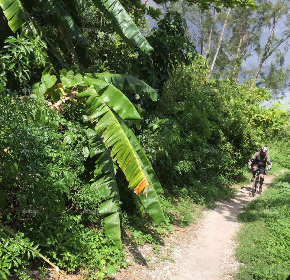 Mountain biking. Man riding mountain bike on dirt road, Florida, USA 