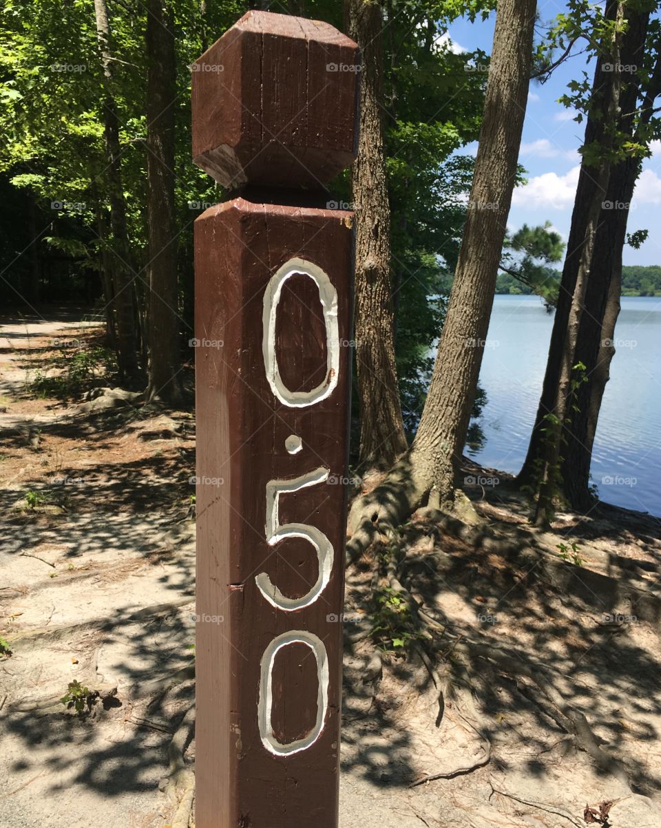Walking the trail around the lake. 