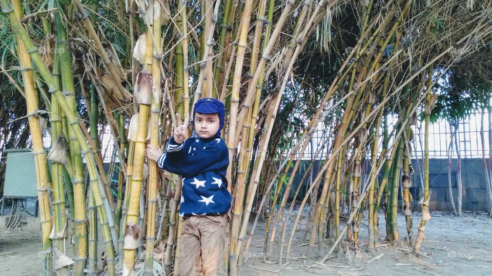 fun at bamboo park