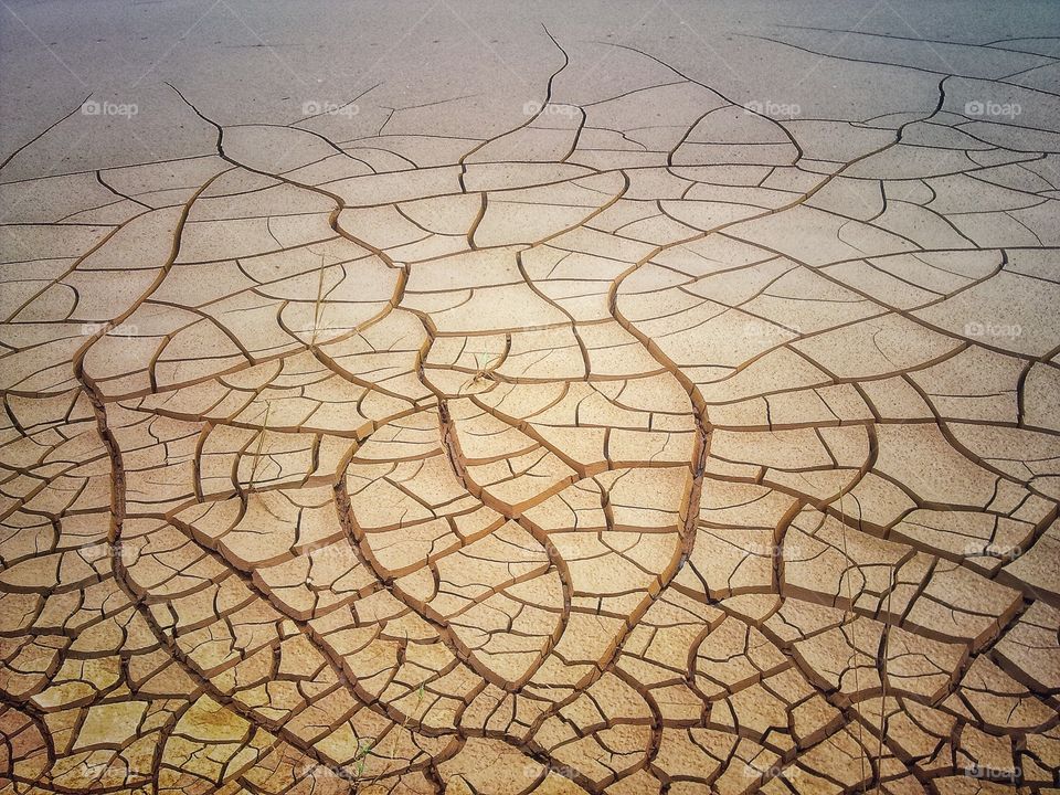 waiting for the rain