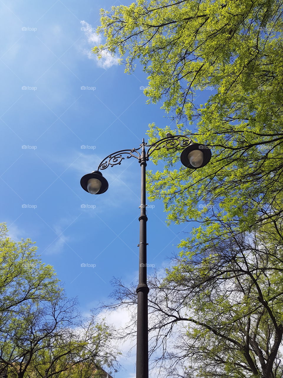 lampost in the city center, surrounded with trees