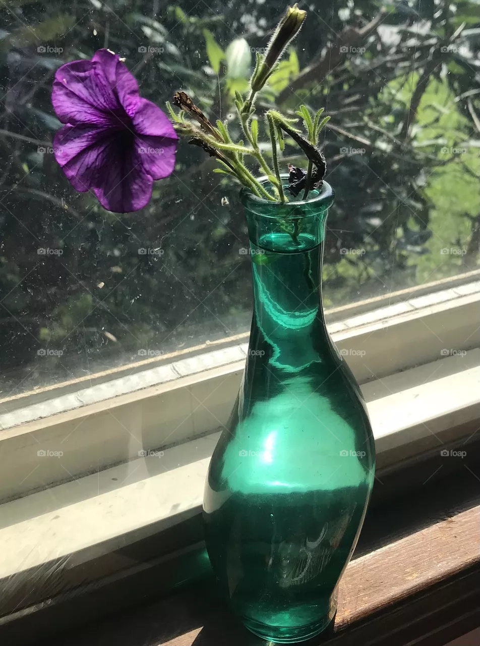 Flower
