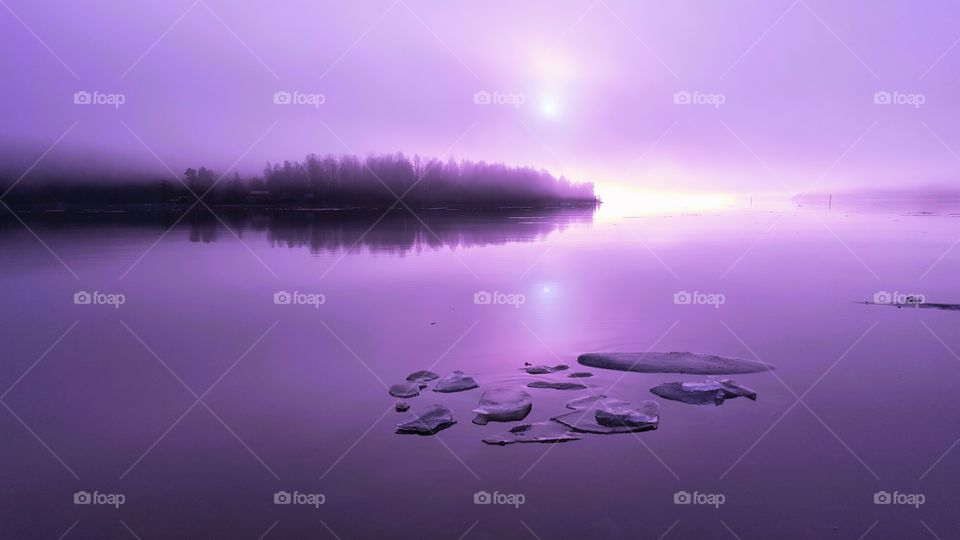 Purple mist