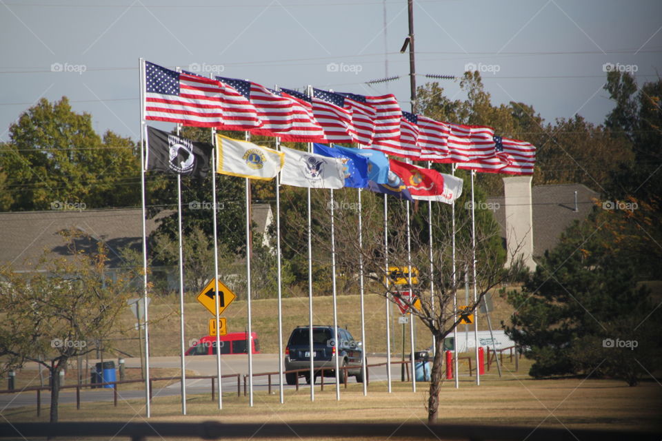 Lots of Flags at the Park