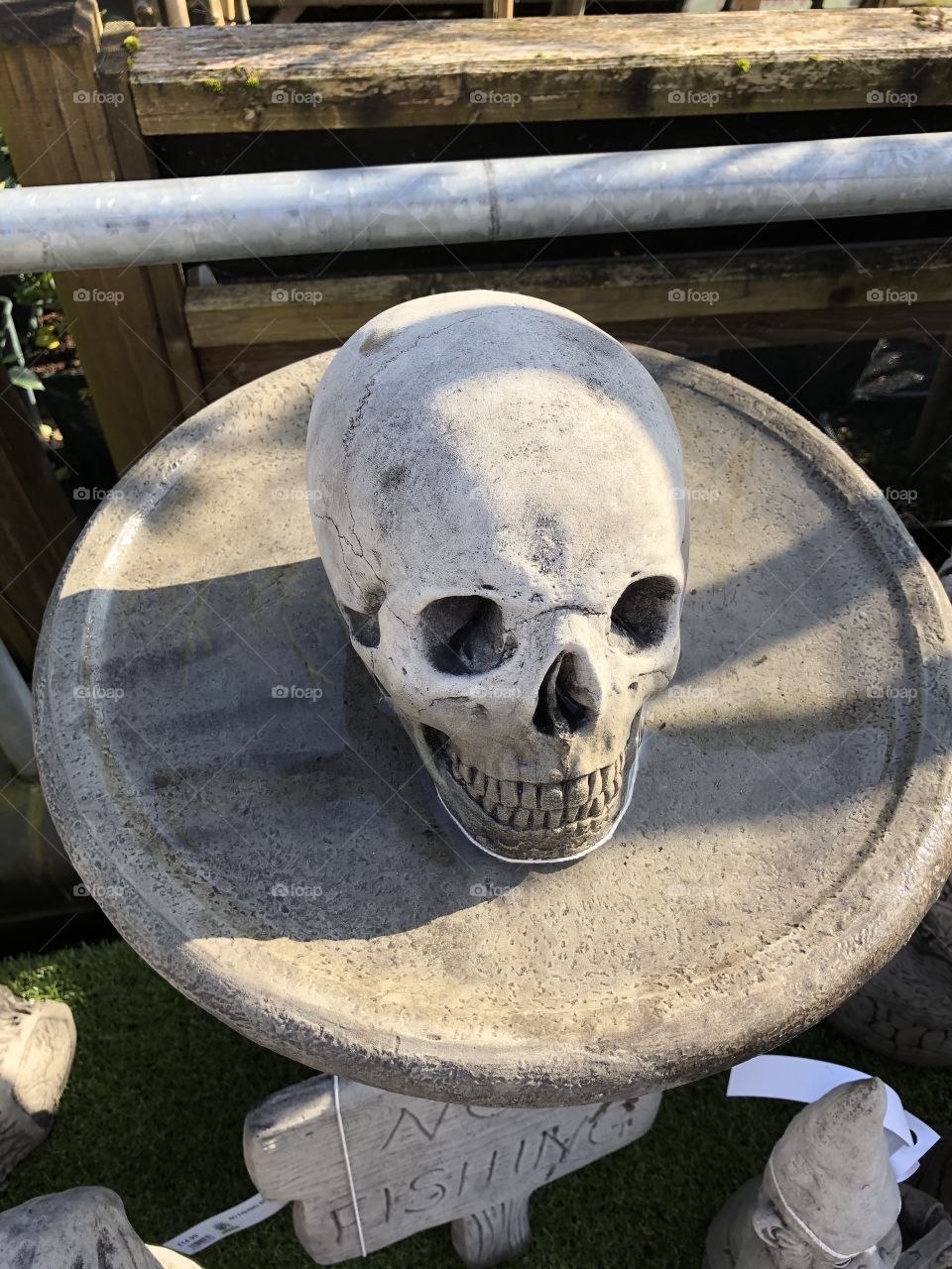 Stone skull 