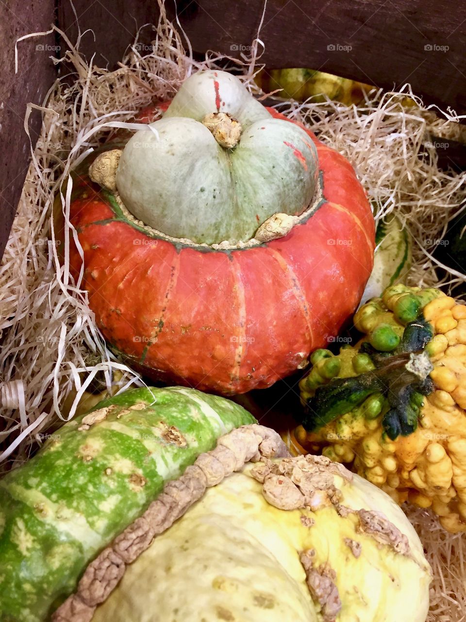 Dekorative pumpkins in wooden box