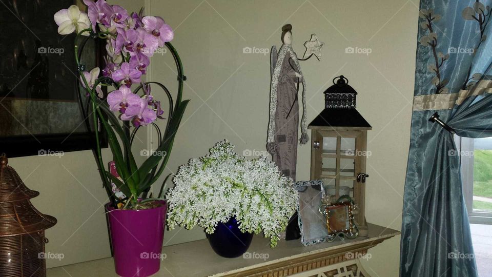 lilacs and orchids. spring flowers