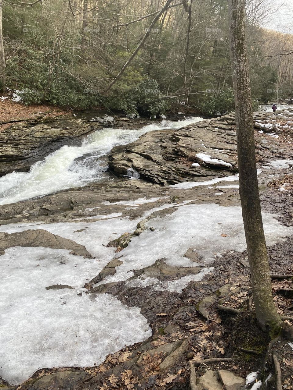 The woods are a calming place 