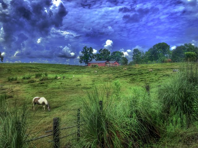 Serenity In a Hill