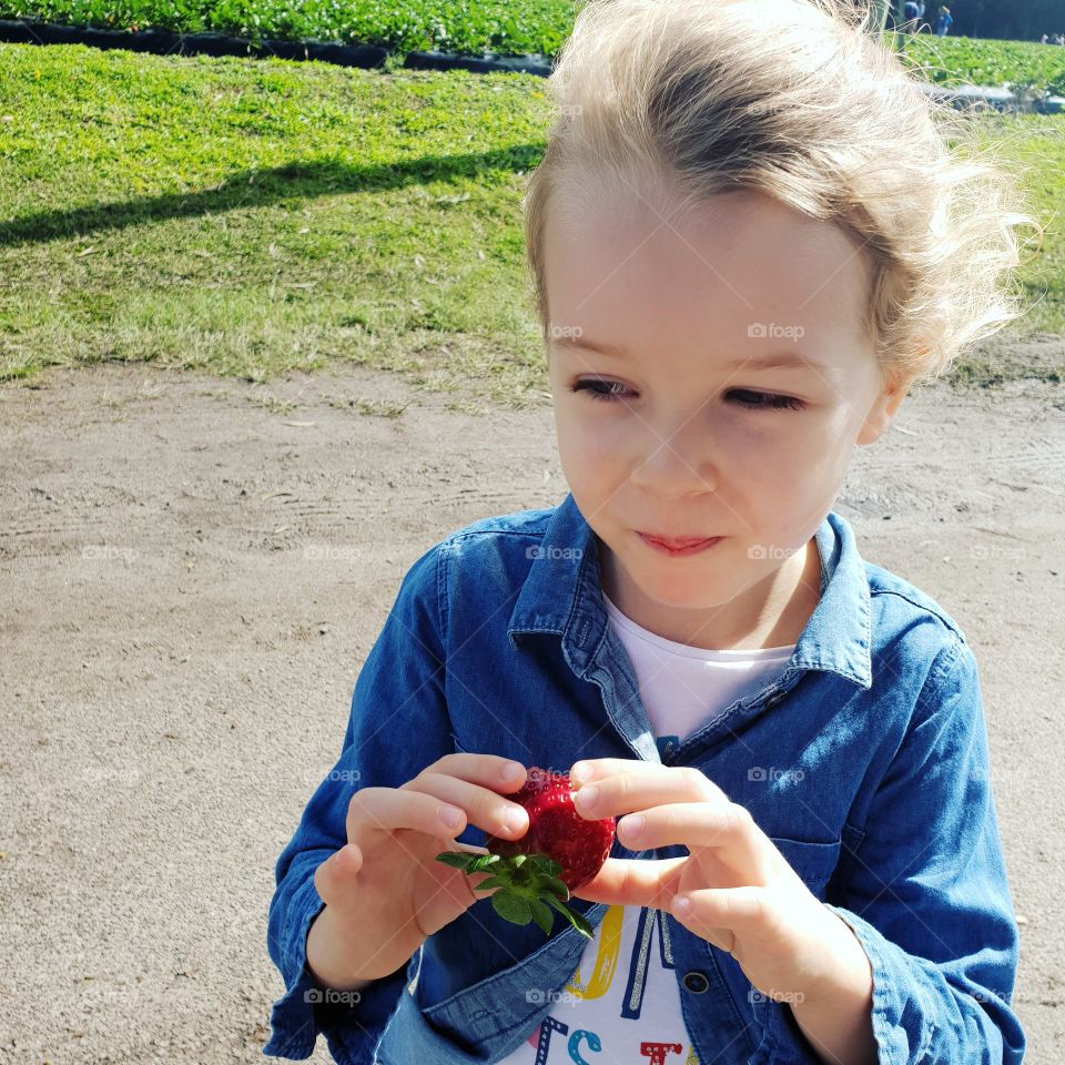 toddler holding strawberry