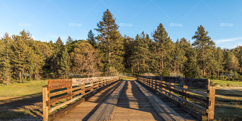 Beautiful day up in the mountains