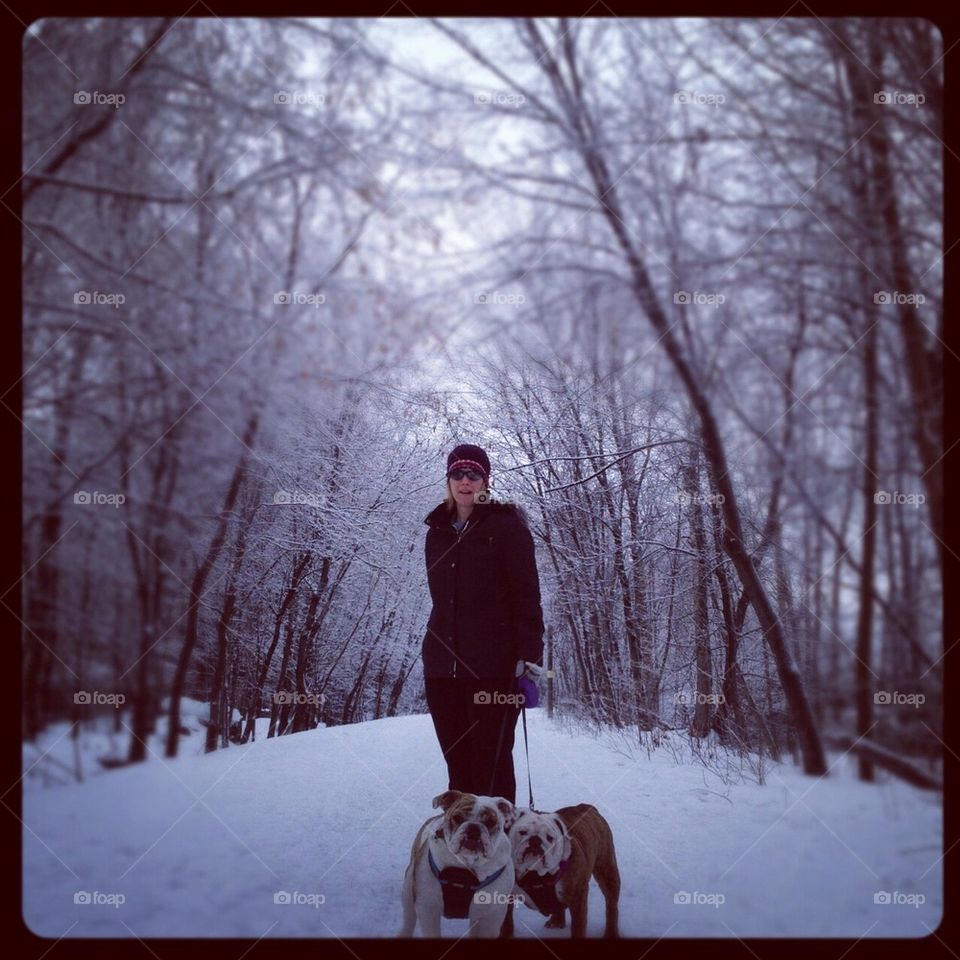 Walking the dogs in winter