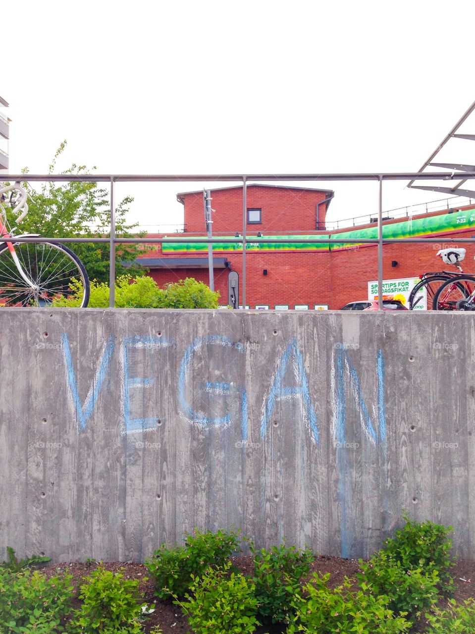 vegan graffitti