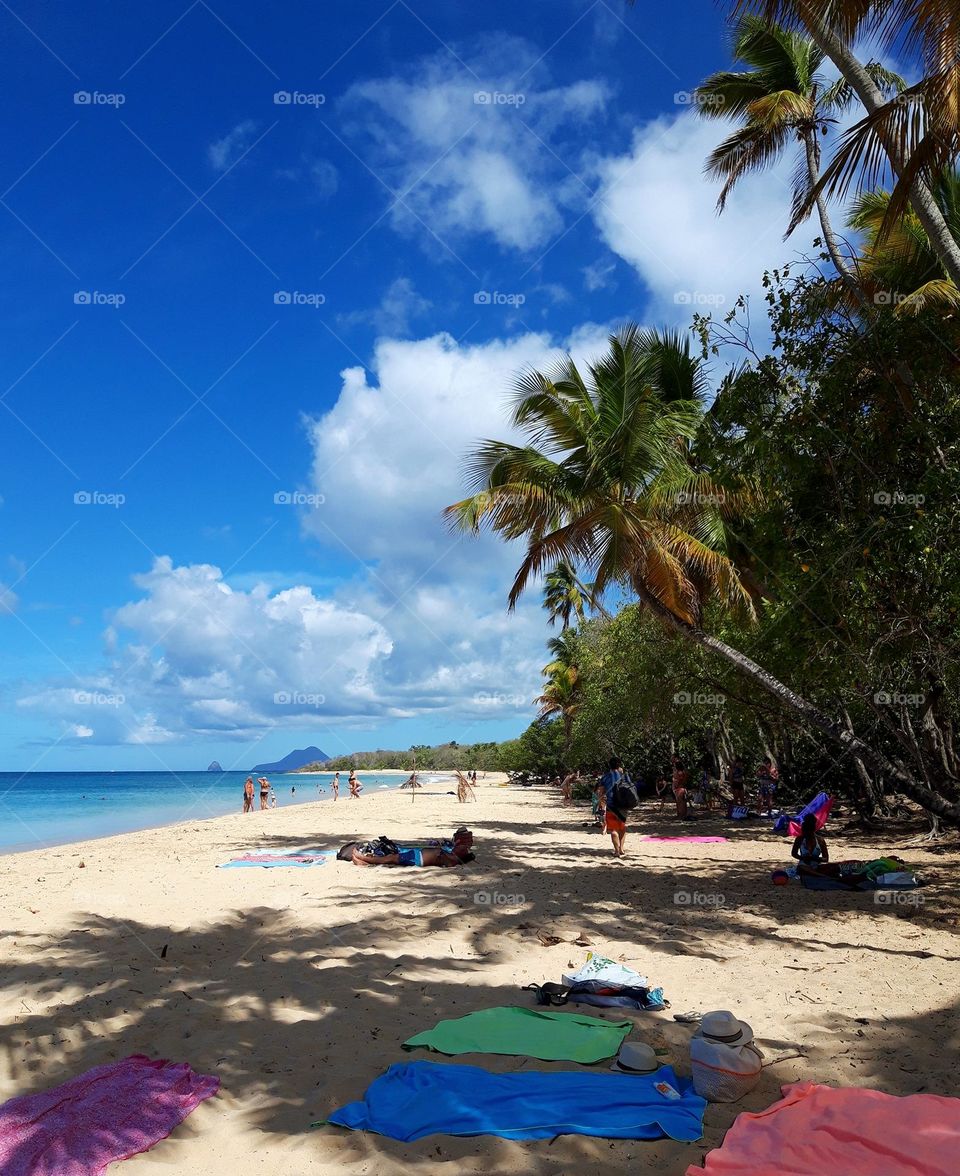 Seaside. Beach. Palm trees. Towels.