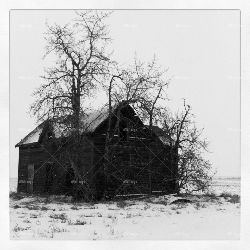 Abandoned farmhouse in winter 