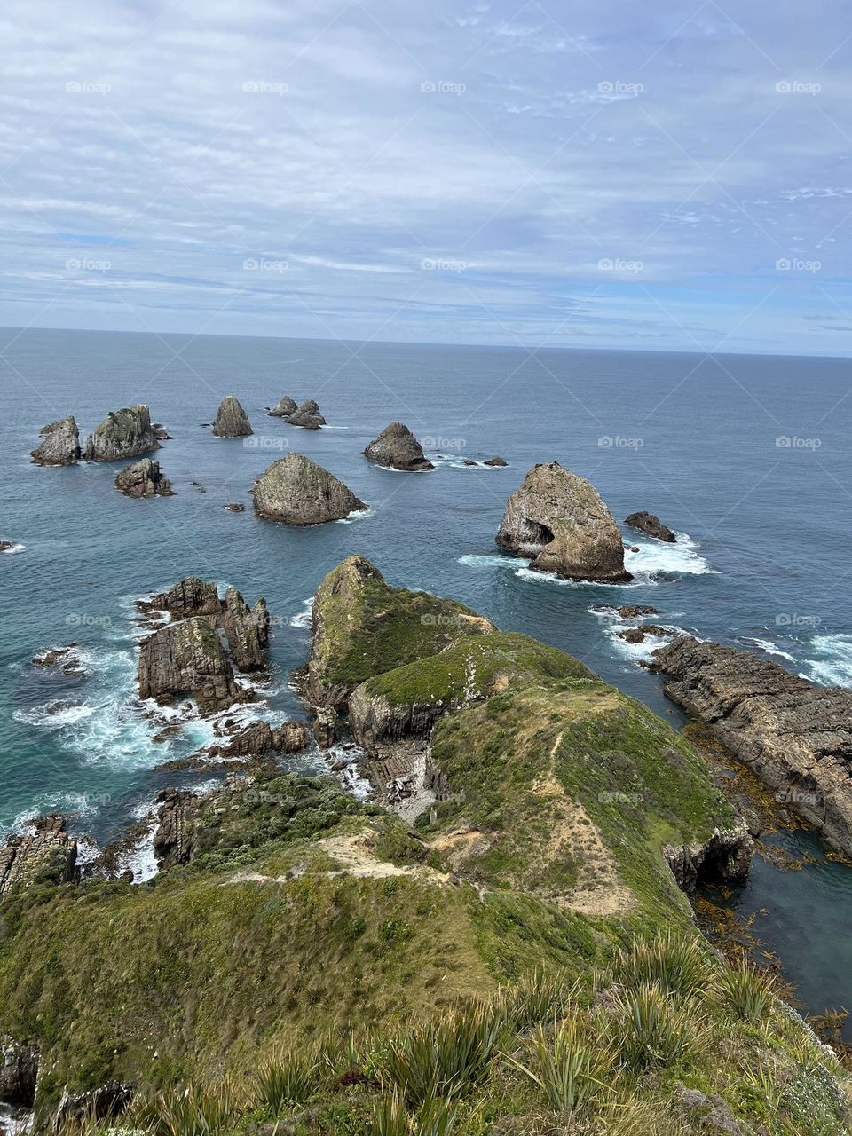 Nugget Point - New Zealand 