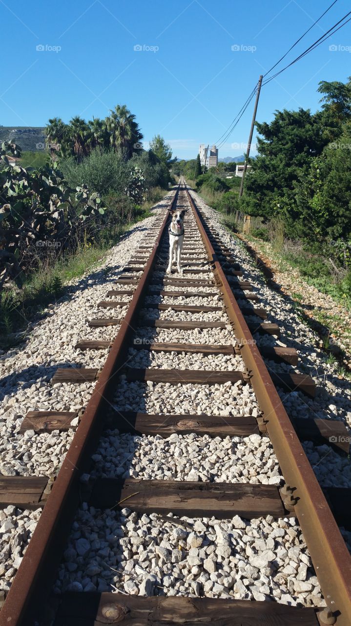 vías de tren abandonada