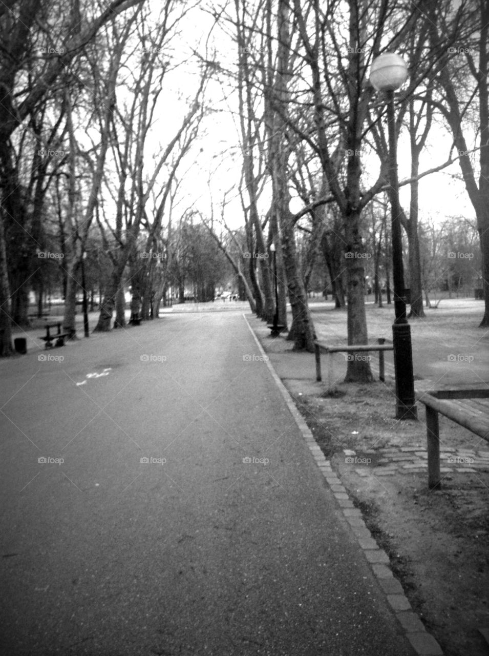Empty park