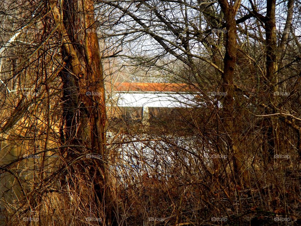 Covered bridge thru the trees 