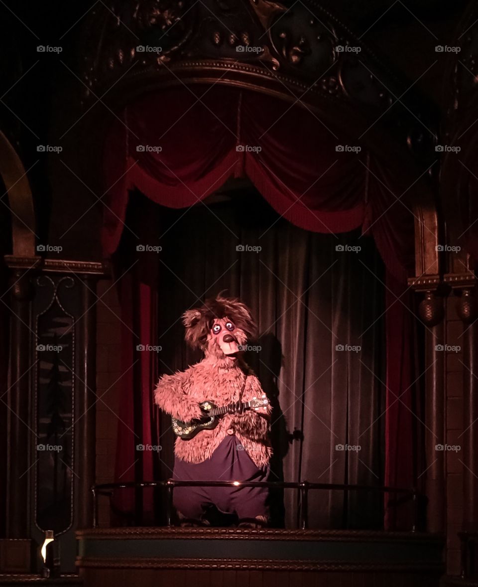 Country Bear Jamboree is still showing in Frontierland at the Magic Kingdom. An old favorite...