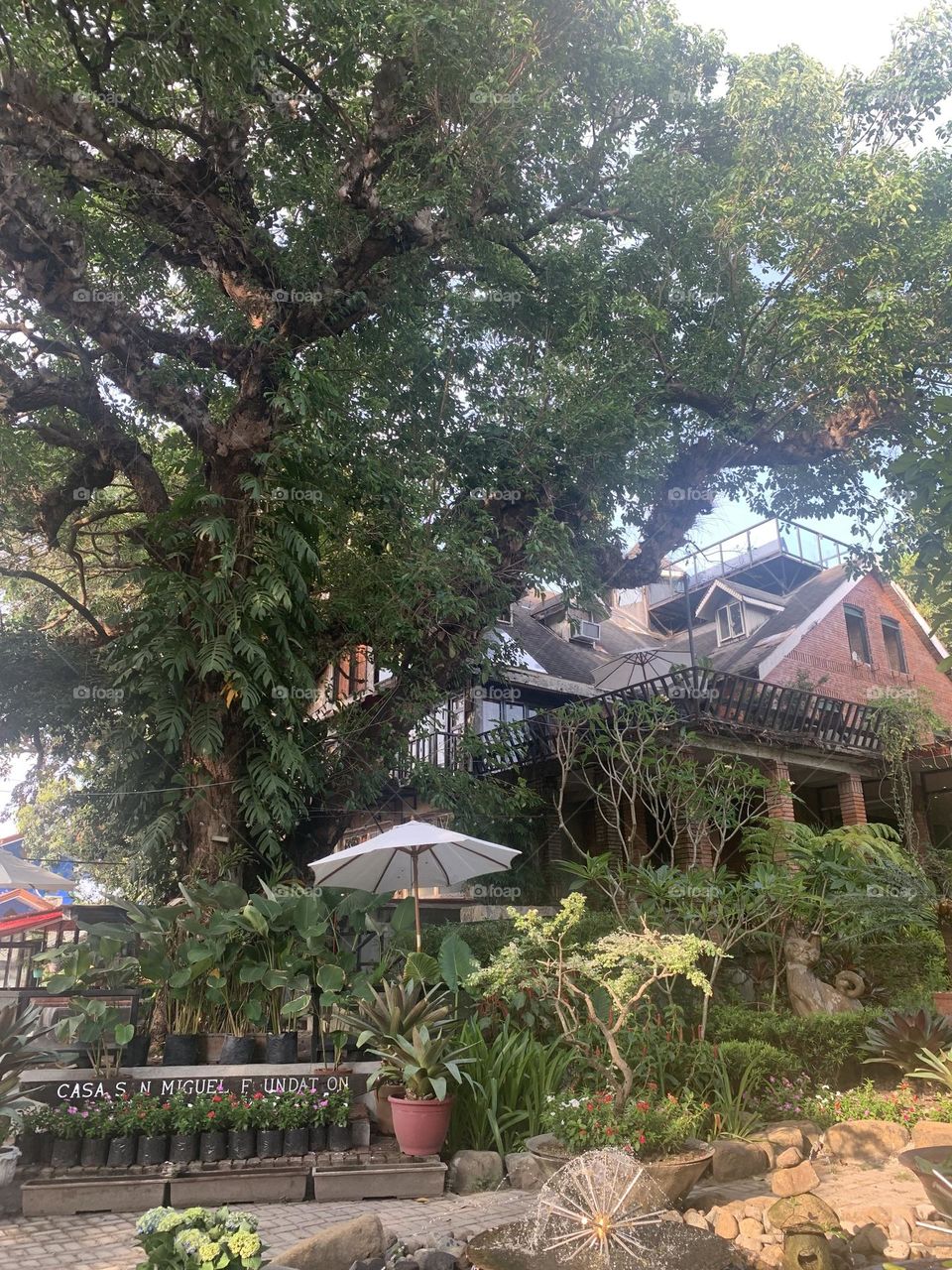 Treehouse with nature around 