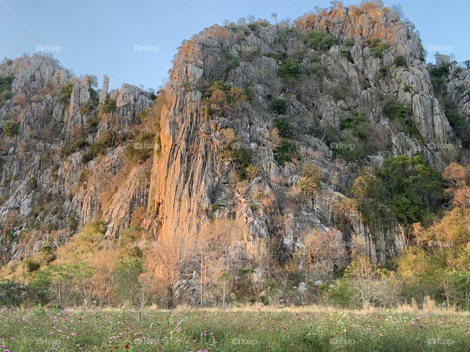 Editors ‘ choice: Photo of the week, Thailand.