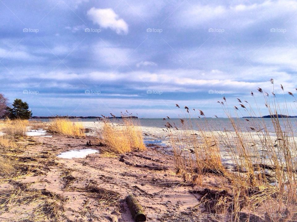 Winter day at the beach