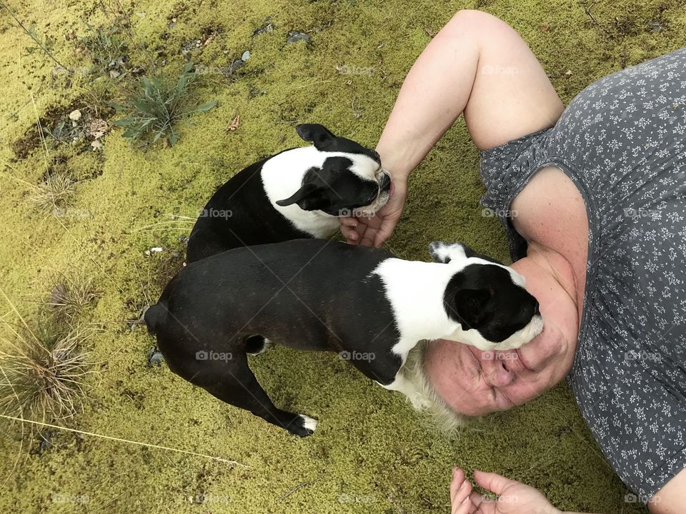 So as previously indicated, when my hands are occupied or I’m suddenly accessible, my pups think it’s the perfect opportunity to lick my face; all over!