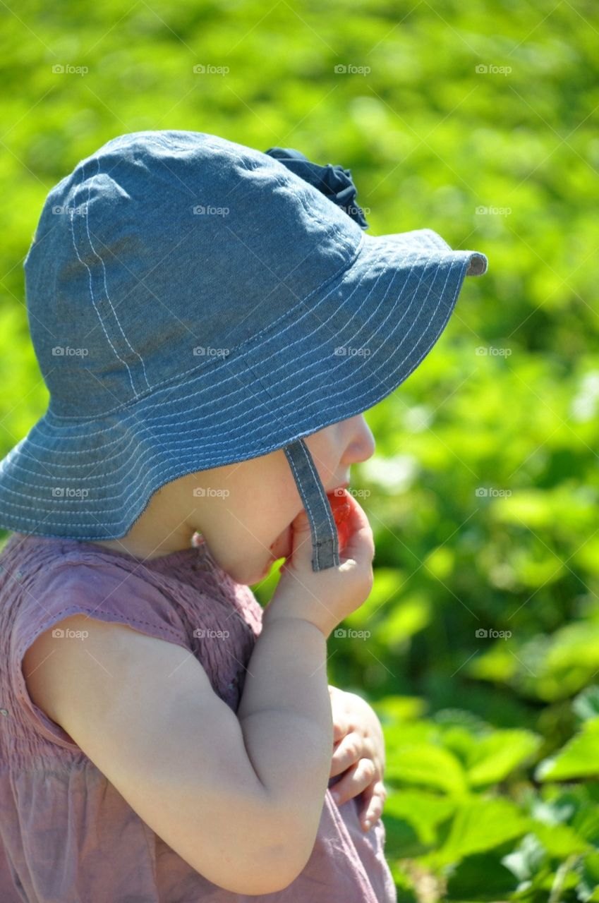 Strawberry picking and eating