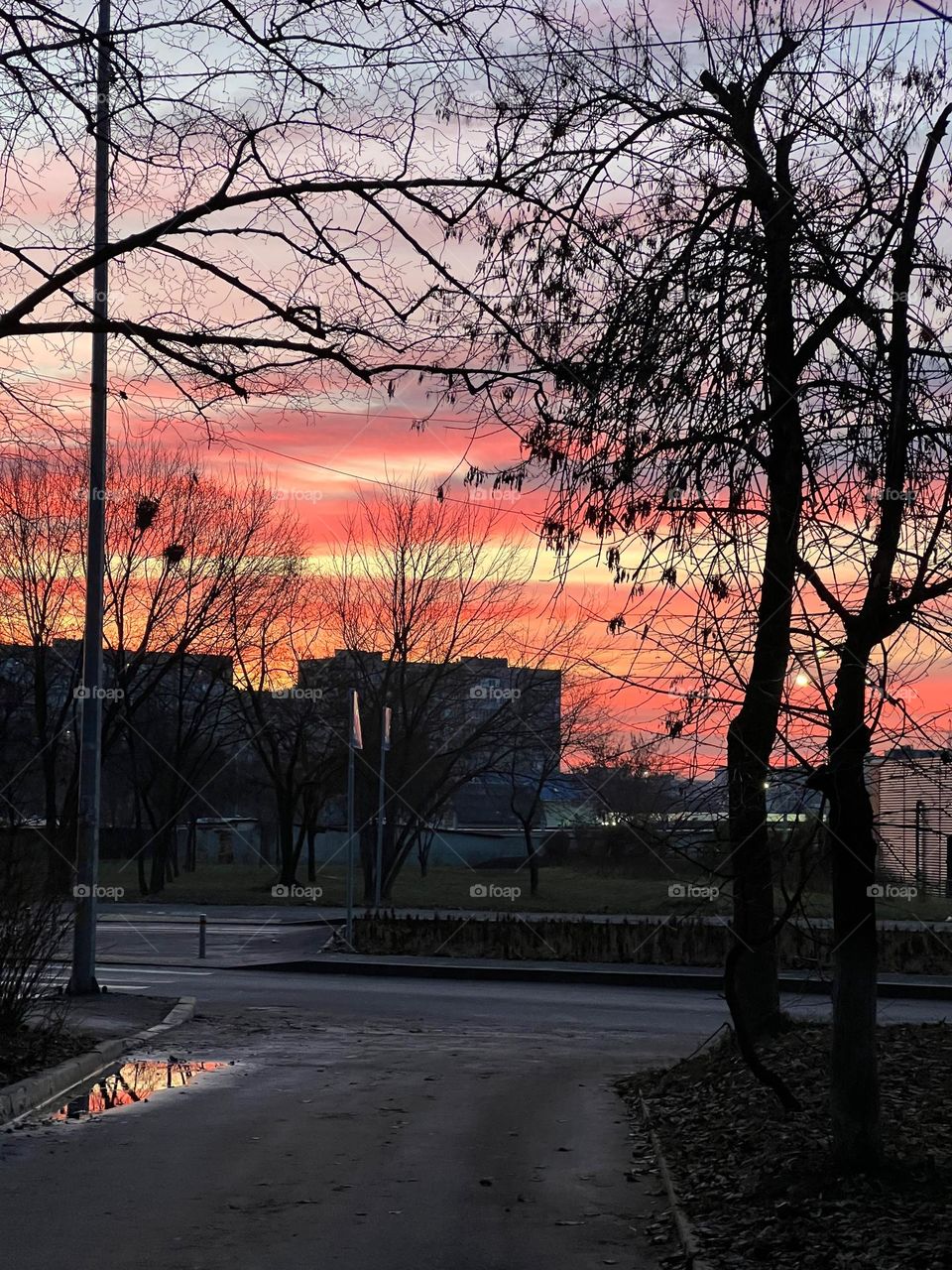 Уникальная сцена городской жизни: вечер, когда небо окрашено красными оттенками заката, а черные контуры деревьев и домов создают захватывающий контраст 