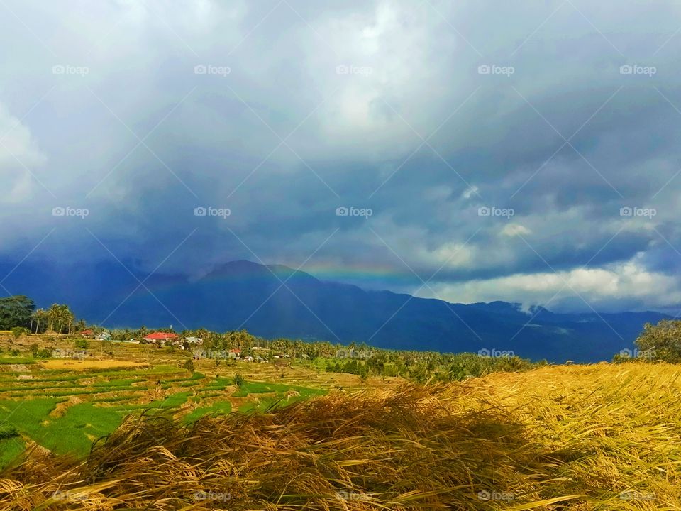 cloudy village