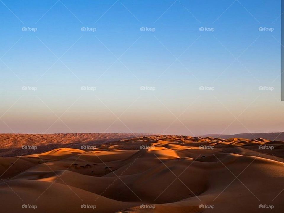 sahara ouarzazate morroco