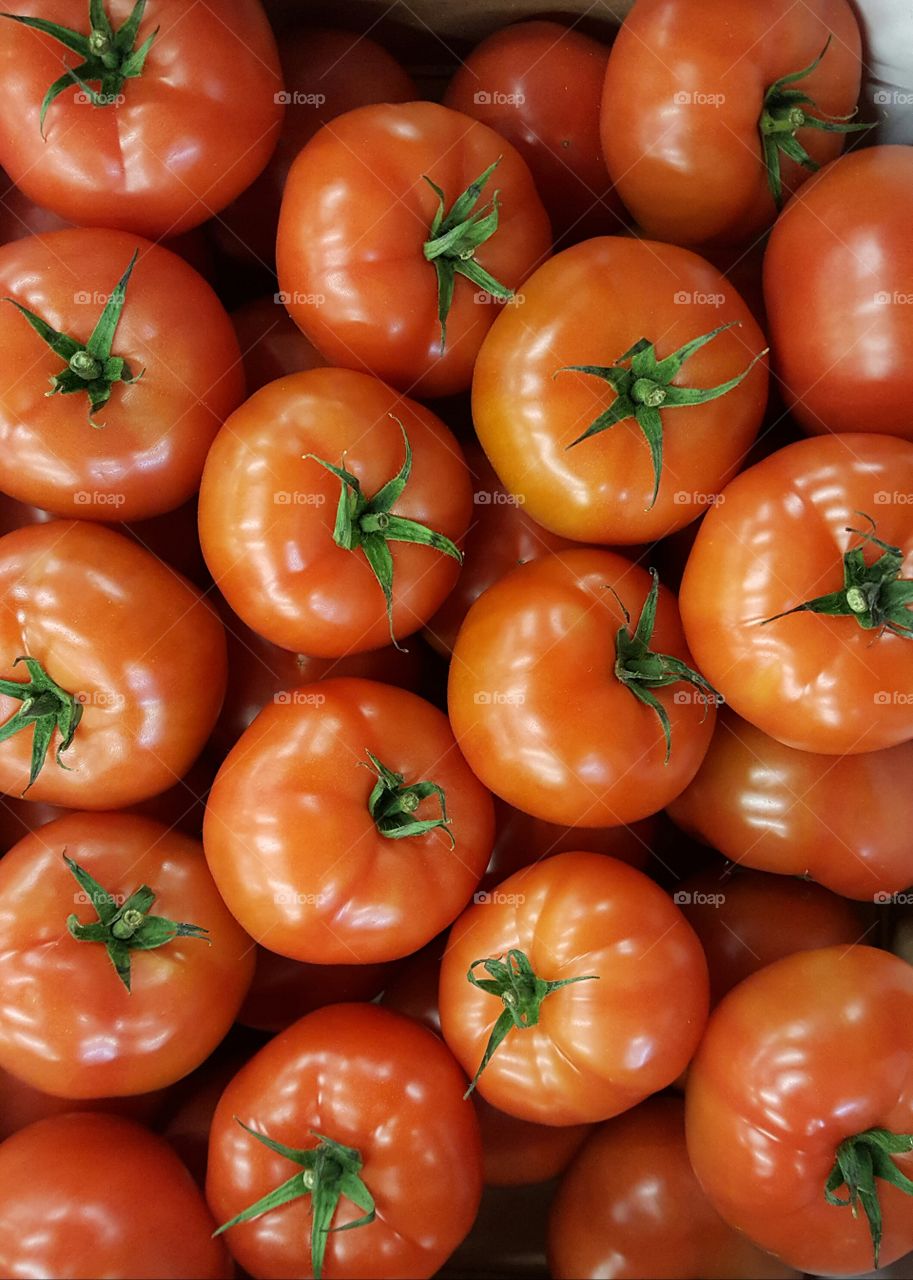 Fresh tomatoes