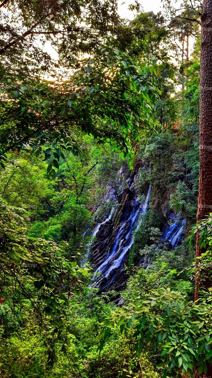 waterfall bridal veil,Waterfall,Bravo valley,México,magic town,trees,green,colorful,nature,rocks,pine