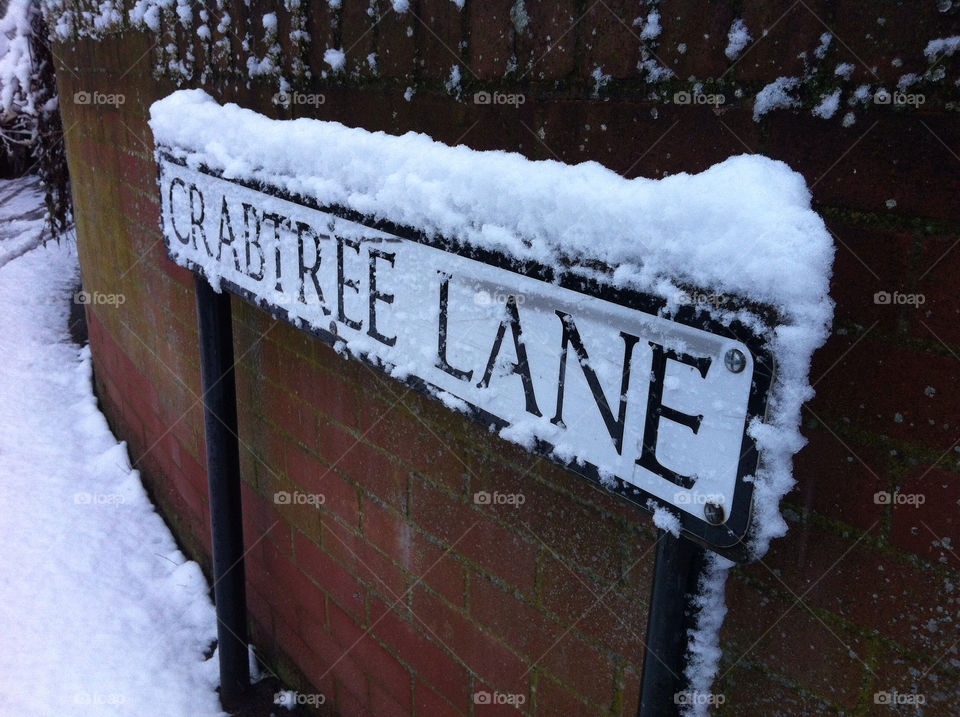 February Morning Snow