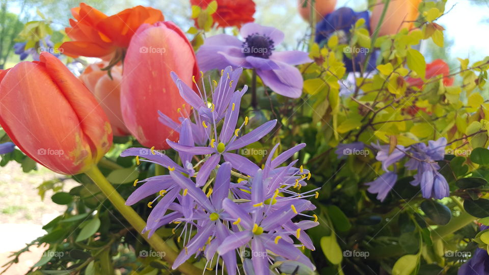 spring flowers arrangement