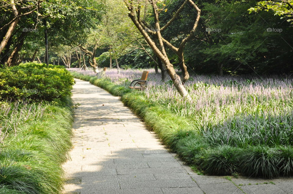 lonely bench in a park