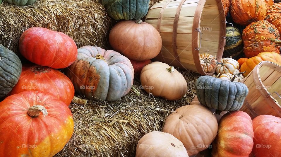 Pumpkins on hay