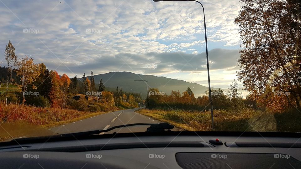 Driving through an autumn landscape.