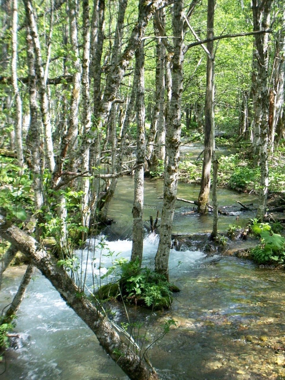 Nature Park, Montenegro 