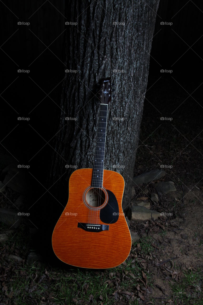 Guitar against a tree. This is a photograph of an acoustic guitar sitting next to a tree.