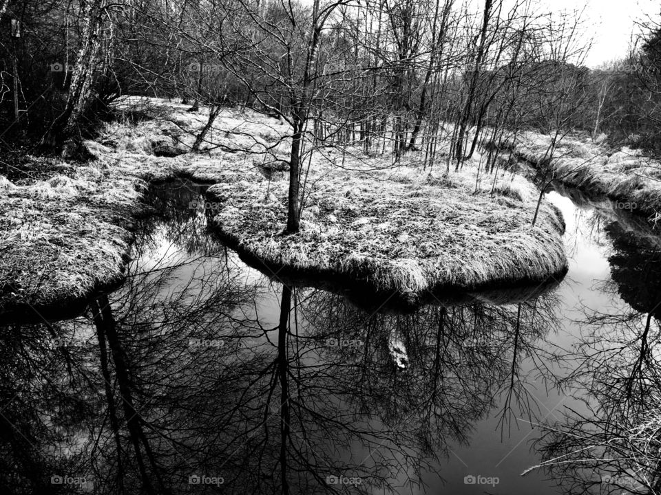 Black and white image of a fork in a calm slow moving creek flowing through the grassy lowlands. 