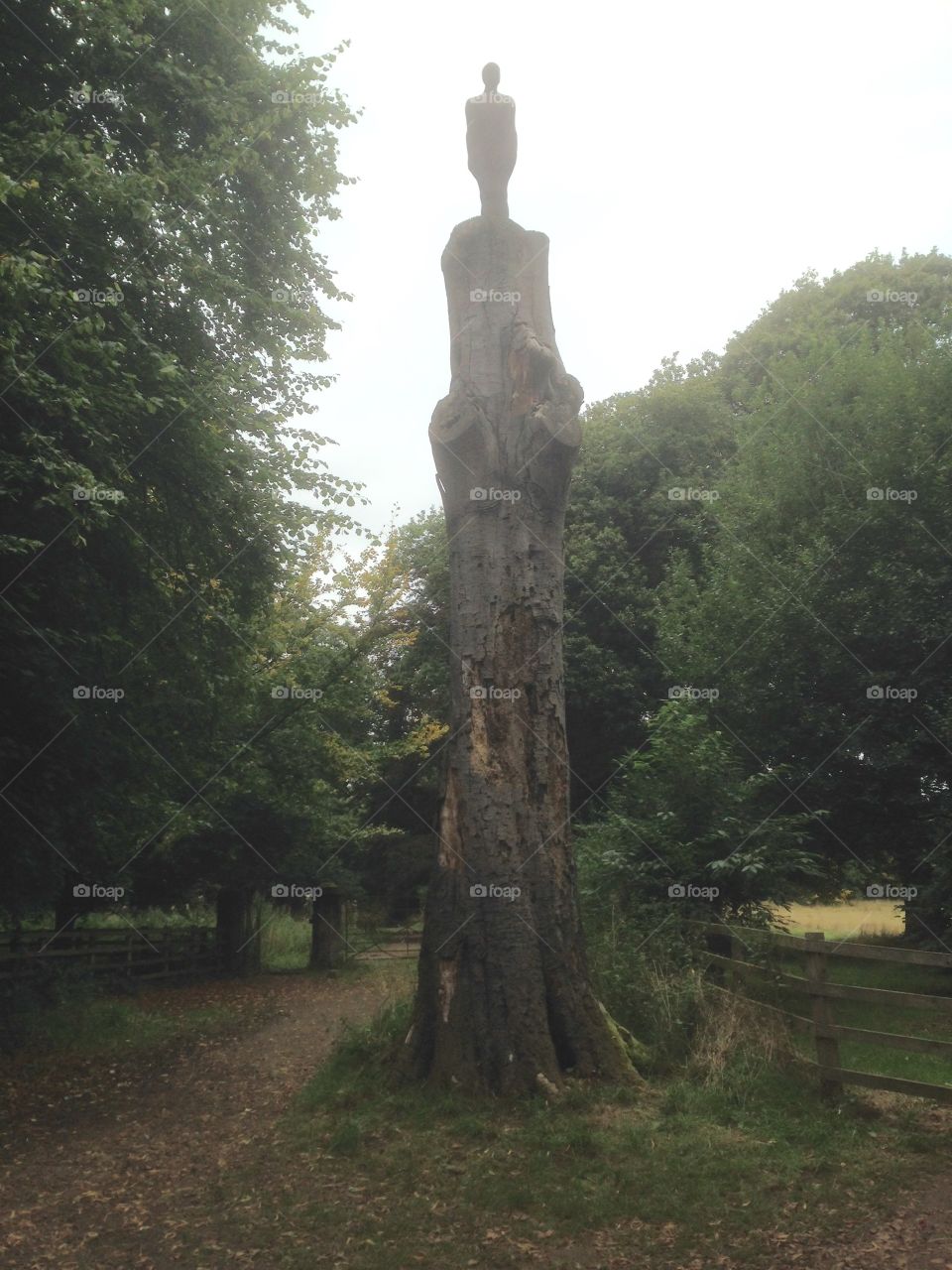 Hi on a pedestal. A sculpture on old tree man looking down