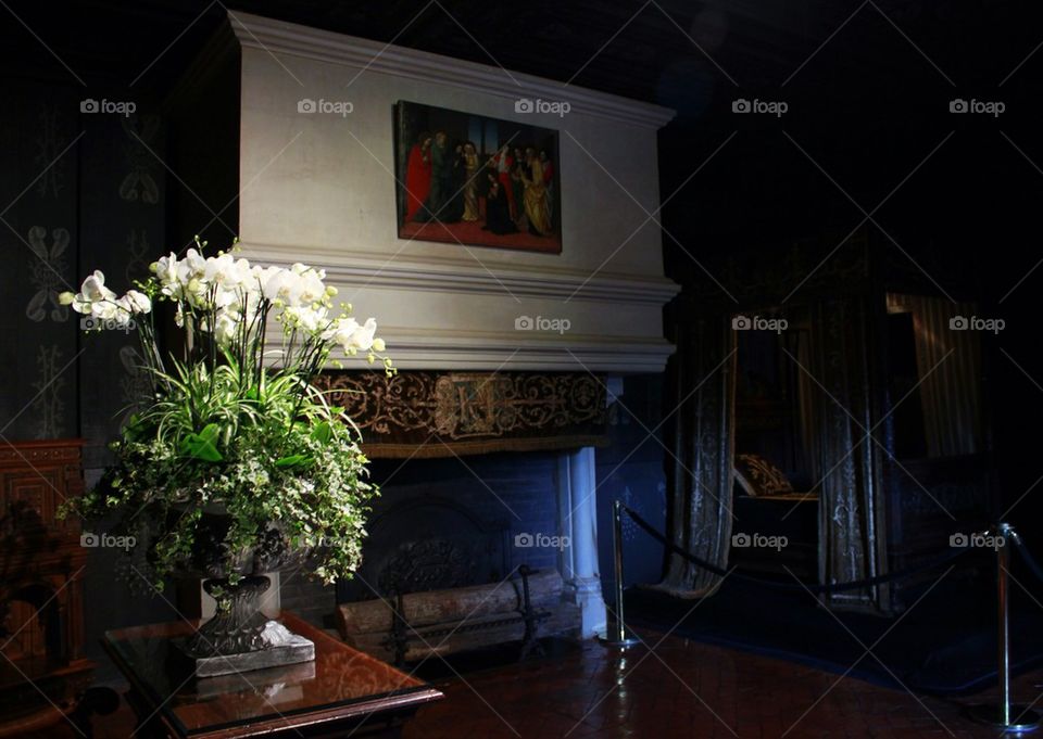 Orchid of chennonceau