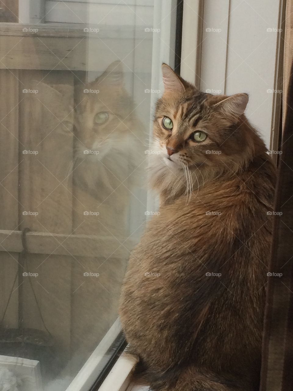 Reflect upon yourself